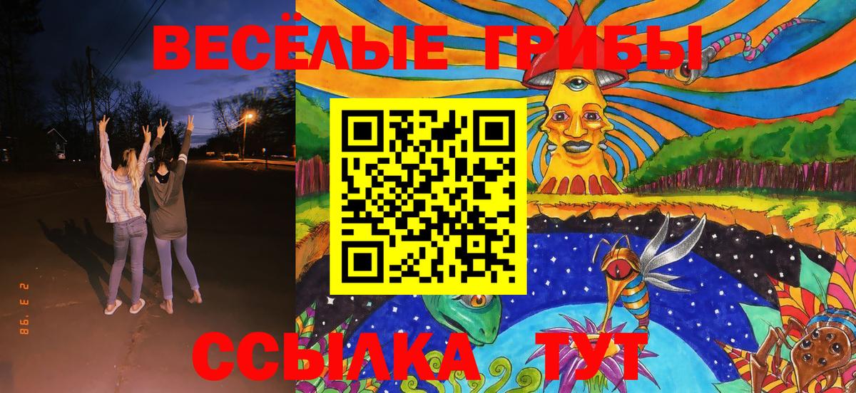 Галлюциногенные грибы GOLDEN TEACHER Мелеуз