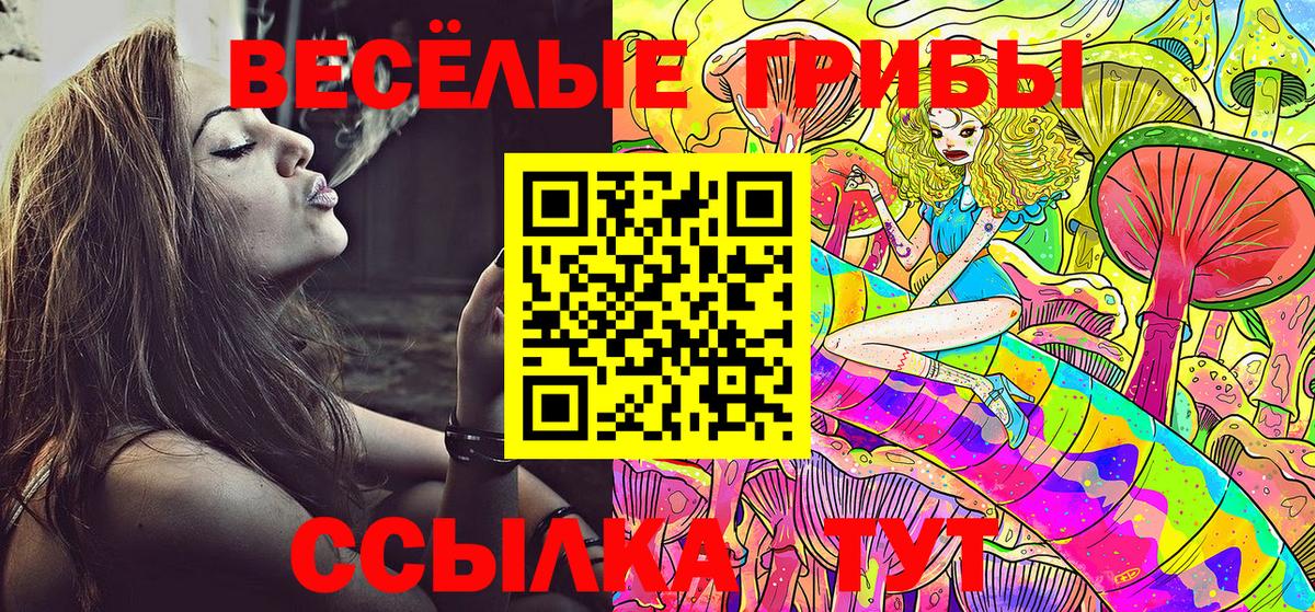 Галлюциногенные грибы Psilocybine cubensis  Псилоцибиновые грибы прущие грибы  наркотики  Мелеуз  Вход с VPN 